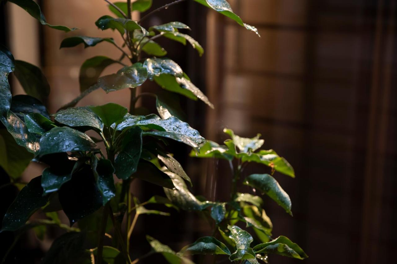 Kanazawa Machiya Kenroku Kültér fotó
